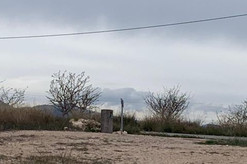 Terra a Pinoso, Alicante, Pinoso - € 125.000 | Ref: V0046-22 - foto 11